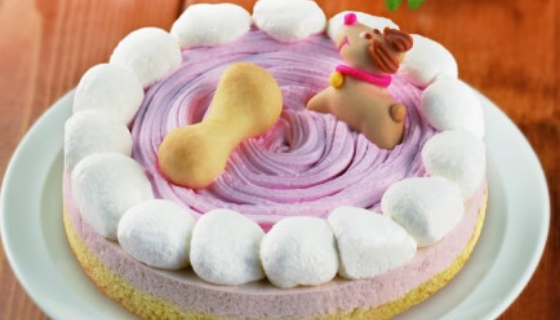 【数量限定】ワンちゃんネコちゃん用ペットケーキ試食会